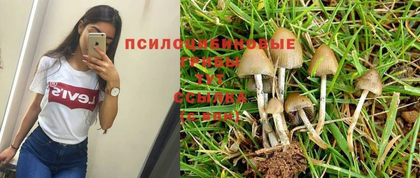 дистиллят марихуана Магас