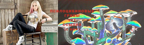 дистиллят марихуана Магас