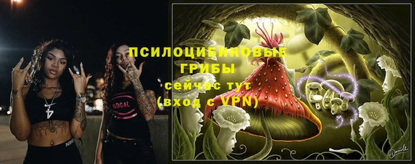 эйфоретик Магадан