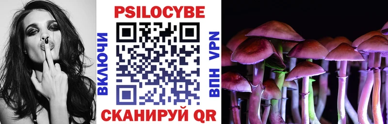 Псилоцибиновые грибы прущие грибы  Мурино 
