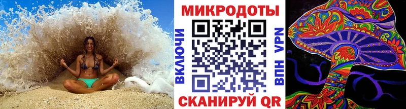 Галлюциногенные грибы Psilocybine cubensis Мурино