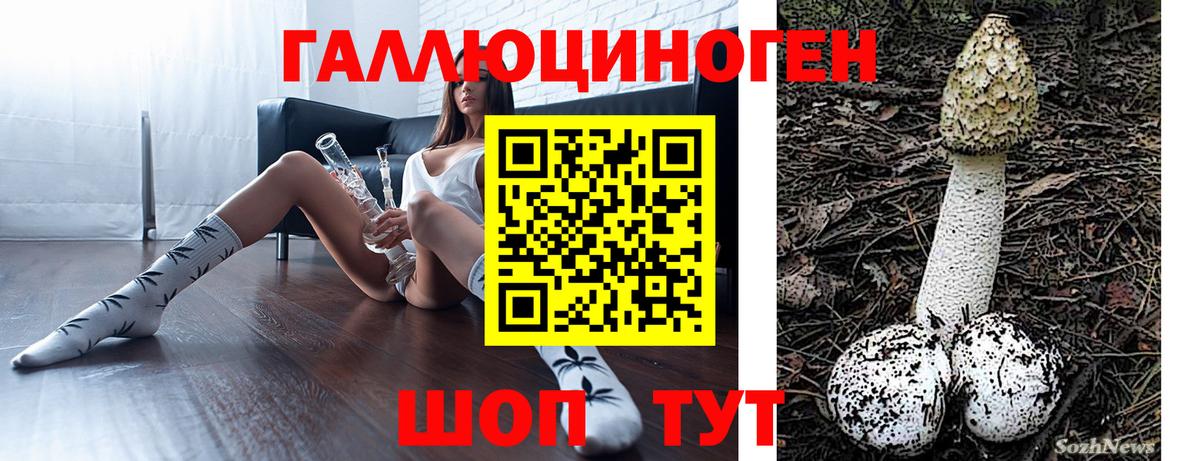 Мурино  купить наркотик  Вход с VPN  Псилоцибиновые грибы GOLDEN TEACHER 