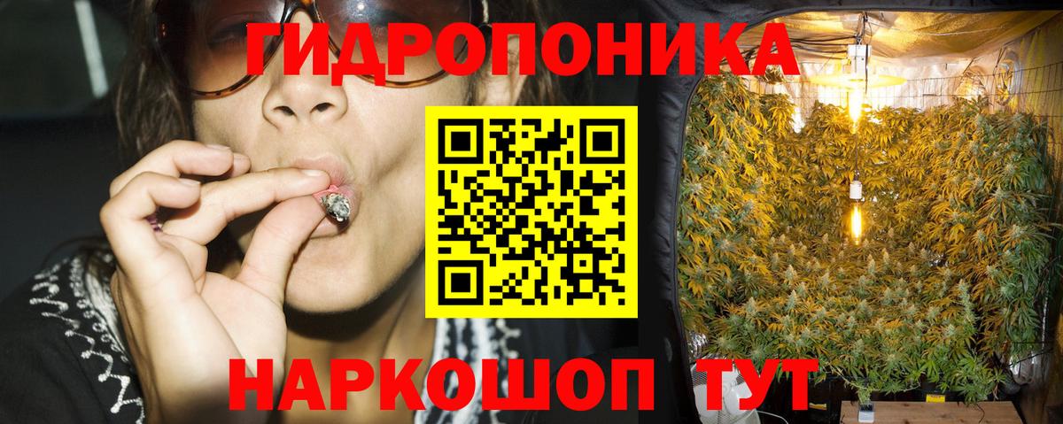Конопля Bruce Banner  Вход с VPN  Шишки марихуана семена  Канабис Ganja  Мурино 